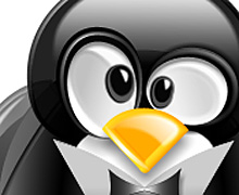 BG Linux logo